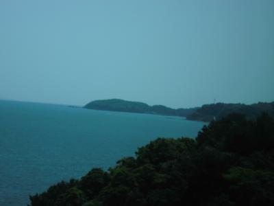 小田原から三島までの東海道本線の風景