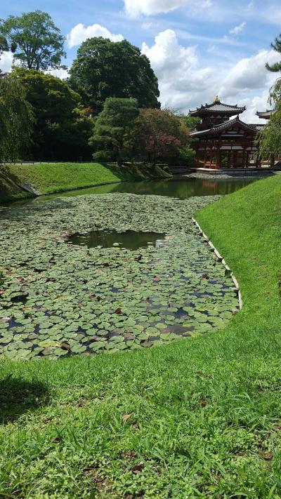 お盆は自宅療養。そして京都へ。オープンしたてのTHE  BLOSSOM  KYOTOがメインの旅☆