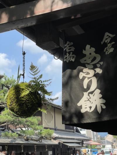 京都耐久お散歩～炙り餅と寺社巡り(2022.6.19)～