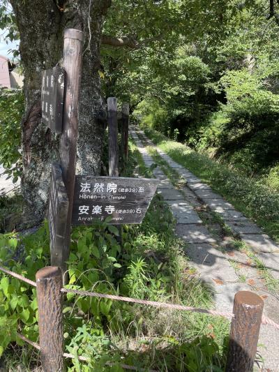 なんだかんだで京都～東山エリアを歩く(2022.7.30)～