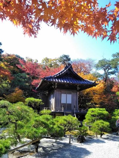 2020年11月 京都の旅2日目～嵐山で紅葉を愛で豆腐尽くしのお昼に。午後は築三百年の町家で和スイーツ