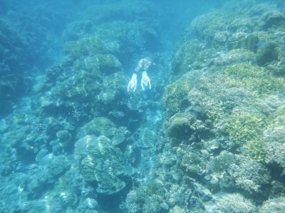 阿嘉島で夏合宿8日間～3日目　初めての無人島安室島へピクニック