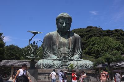 江ノ電で鎌倉大仏＆漁港刺身定食