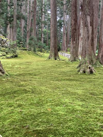 福井の歴史と自然を訪ねて（2日目）波乱万丈の平泉白山神社・恐竜博物館・永平寺