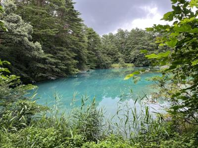 会津旅行２日目　五色沼、強清水、日新館、柳津温泉