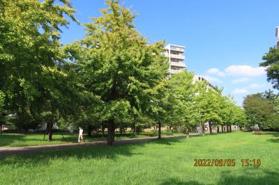 福岡中央公園の風景