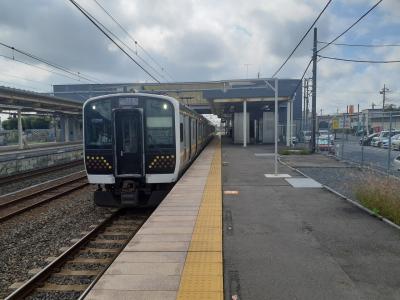 2022夏(秋)　列車何本乗れるかな？　関東編Part2 混雑がすごい宇都宮線の新型車としもうさ号編