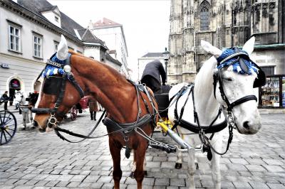 ウイーン、フィレンツェ、ミラノ、パリを巡る旅 二日目 ウイーンからミュンヘン