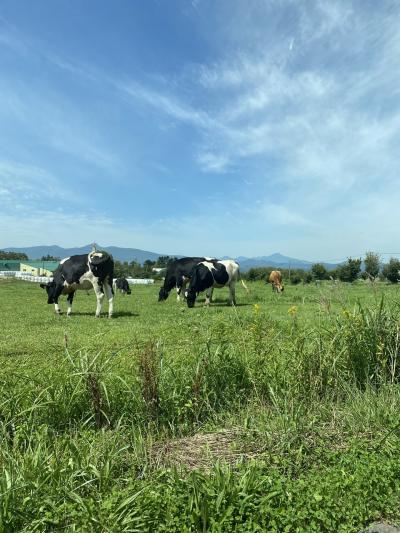 母娘で3泊4日北海道の旅(札幌&amp;洞爺)③