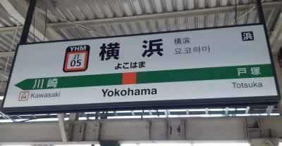 一時帰国2022(7)～横浜～7,699+8,317歩