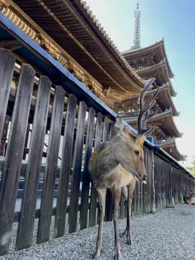 青春１８きっぷと「いまなら。キャンペーン」でお安く旅行しました！