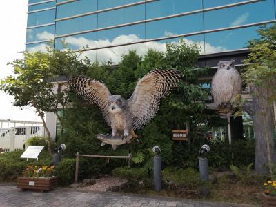 やっぱり夏はここで・・・