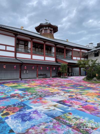愛媛県 女子旅 に関する旅行記 ブログ フォートラベル 愛媛県 女子旅 に関する旅行記 ブログ フォートラベル