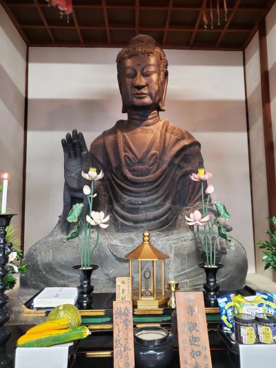 母・弟と行く初秋の飛鳥寺～大きなお釈迦さま、ワンコをお守りください(#^.^#)