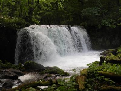 新緑の青森県を旅行(７)　 奥入瀬渓流－「雲井の流れ」から「子ノ口」までの4.2km 