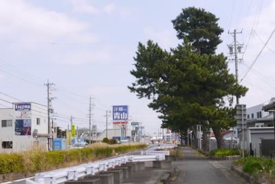 Kオジサンの東海道旅日記　第17日　令和3年3月11日(晴)　　JR島田駅から岡部営業所バス停まで