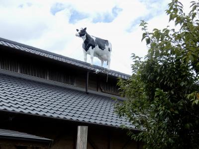 レトロな洋風建築が建つ『奈良きたまち』　ちょっぴりマニアックな奈良