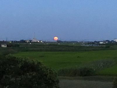 壮大な天体ショーを稲荷山古墳で見るの巻