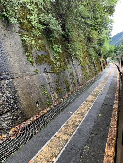 飯田線に再挑戦　多摩から名古屋へ