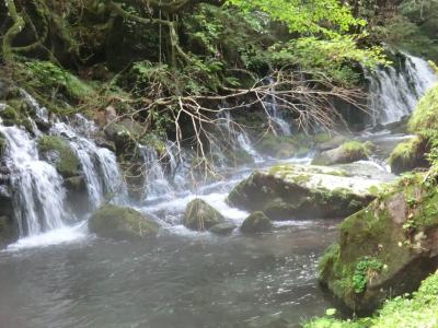 月山、鳥海山、栗駒山ハイキング6日間