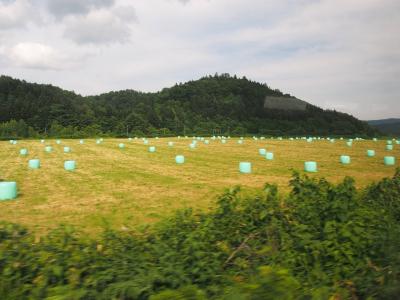 夏の北海道⑥