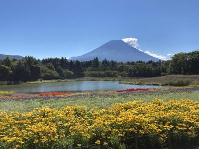 本栖湖リゾート　虹の花まつり