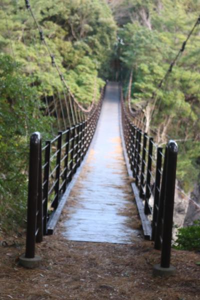 GOTOで行く伊豆　3日目　河津