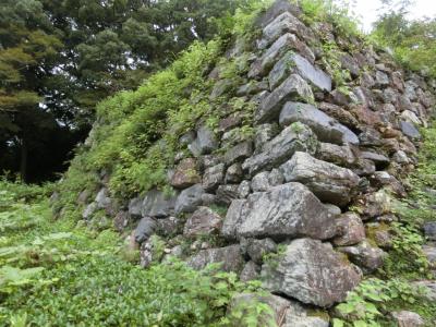 浜名湖～天竜川をさかのぼってみました。05天竜川沿いを下って二俣城と鳥羽山城を巡りました。