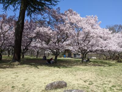 2022 伊那から飯田・天龍峡へ