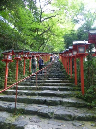 夏得!京都フリー3日間(今回は寺社巡り)①貴船