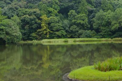 近鉄特急で行く♪　都ホテルリゾート奥志摩アクアフォレストに泊まる♪　ハプニングも！