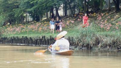 2022高浜市八反田公園の彼岸花