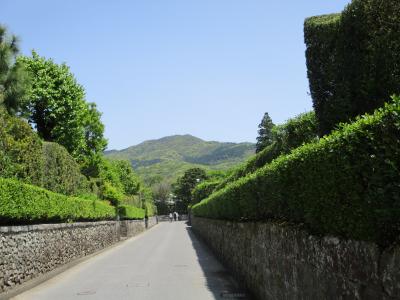 鹿児島知覧といえば、お茶、武家屋敷庭園、そして・・・