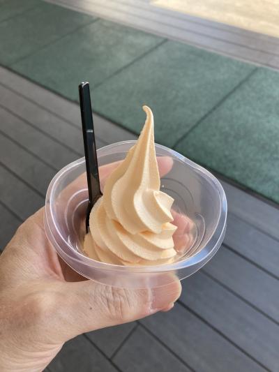 "6月初旬の富良野" は、ラベンダーにもメロンにも早すぎて･･･。"富良野マルシェ" で、 "メロンソフトクリーム" を食べて終了！