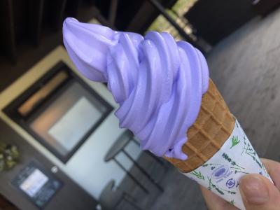 夫婦で夏の北海道二日目