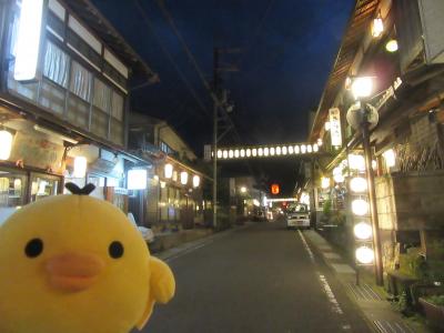 奈良県 天川村・洞川(どろがわ)温泉を たびするトリ