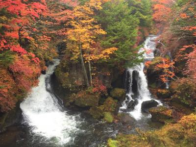 【2017.10 日光】~ワールドスクウェア/川治温泉/竜頭の滝~