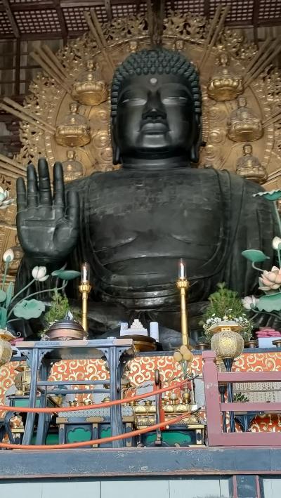 修学旅行以来の奈良