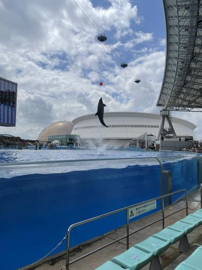 ３歳児と行く名古屋３日目名古屋港水族館