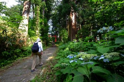 「山形・羽黒山神社」夫婦の旅