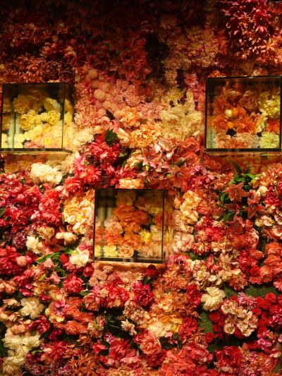 奈良13　金魚ミュージアムｃ　創造空間の金魚・上見鑑賞の金魚　☆トリックアート展