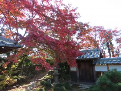 京都 洛北 禅華院(Zenkein Temple,Rakuhoku,Kyoto,Japan)