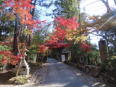 京都 洛北 赤山禅院(Sekizan Zen-in Temple,Rakuhoku,Kyoto,Japan)