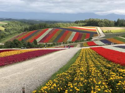 北海道家族旅行<1日目：美瑛・白金温泉泊>