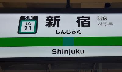 一時帰国2022(10)～ちょびっと東京～8,972歩