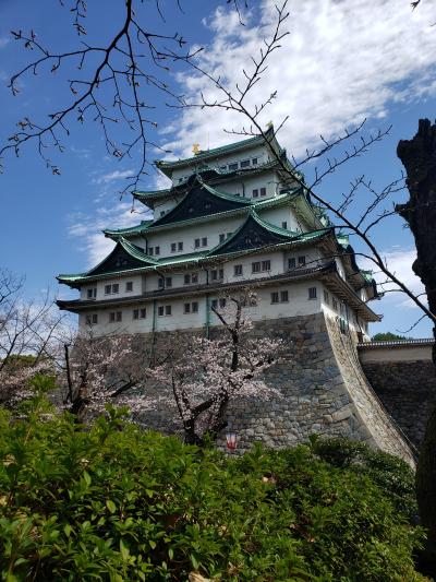 JOECOOLさんご家族と行く鉄子の旅☆3日目☆名古屋城で桜と猿回しを楽しむ(^_-)-☆