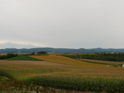 2022.09 JR北海道＆礼文島の旅（３）ちょっと足を伸ばして美瑛の丘１時間サイクリング