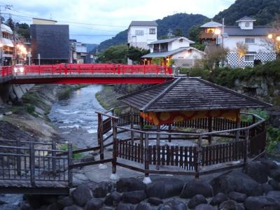 女友達と伊豆踊り子号で行く修善寺温泉♪共立リゾート系列の桂川に宿泊！飲まれて飲んで矢沢あい展！