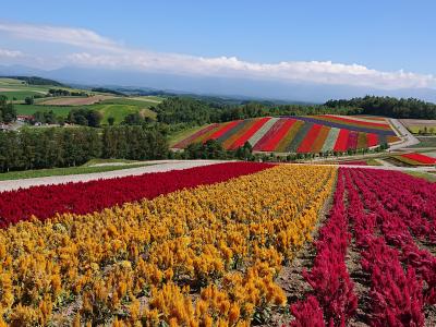 北海道　富良野・美瑛～満喫旅！！