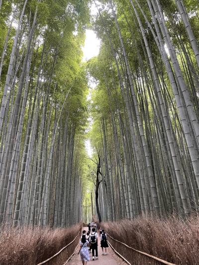全日本インカレ応援の旅（京都））2